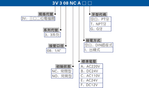 澳门澳官方网站