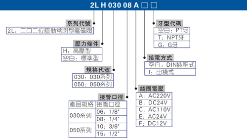 澳门澳官方网站