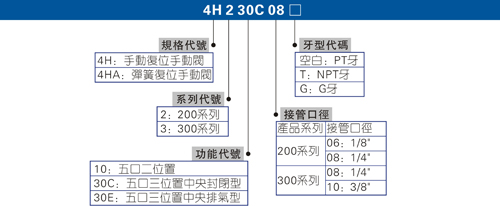 澳门澳官方网站