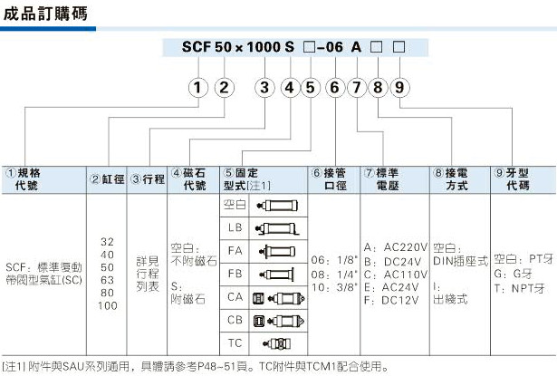 澳门澳官方网站