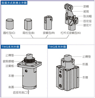 澳门澳官方网站